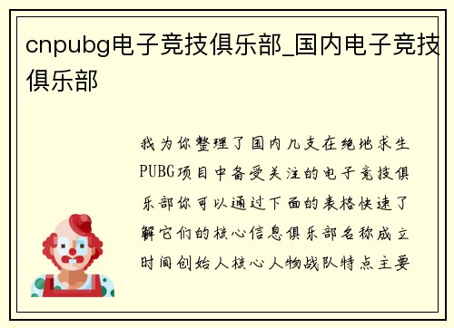 cnpubg电子竞技俱乐部_国内电子竞技俱乐部